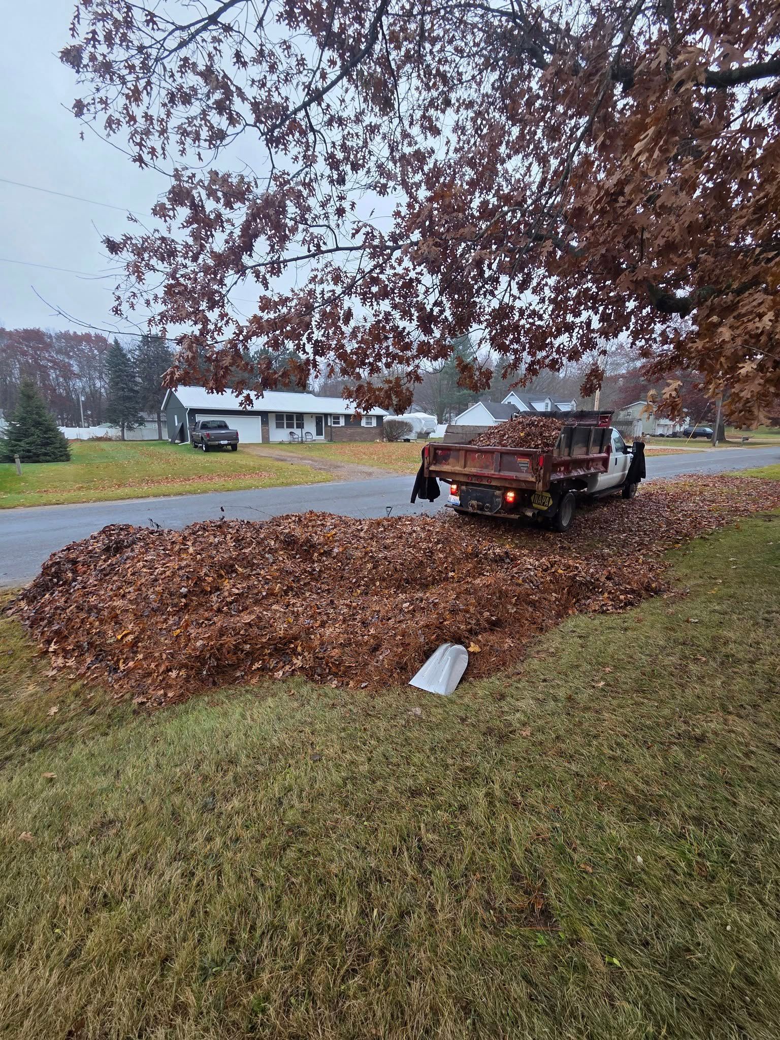 Truck loading a large pile of brown leaves beside a road on a cloudy day. Houses in the background.