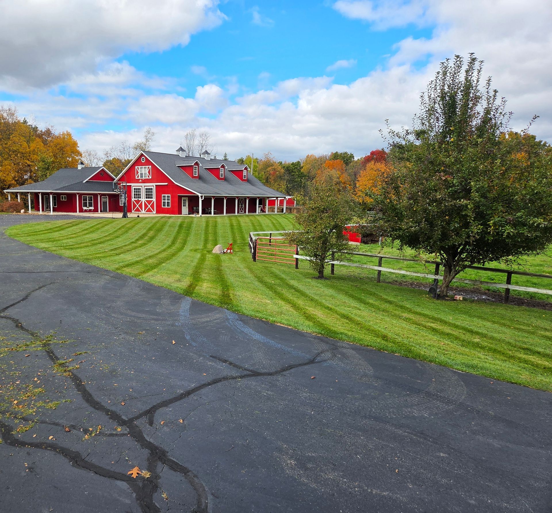 Grassy field with trees and a satellite dish under a blue sky.