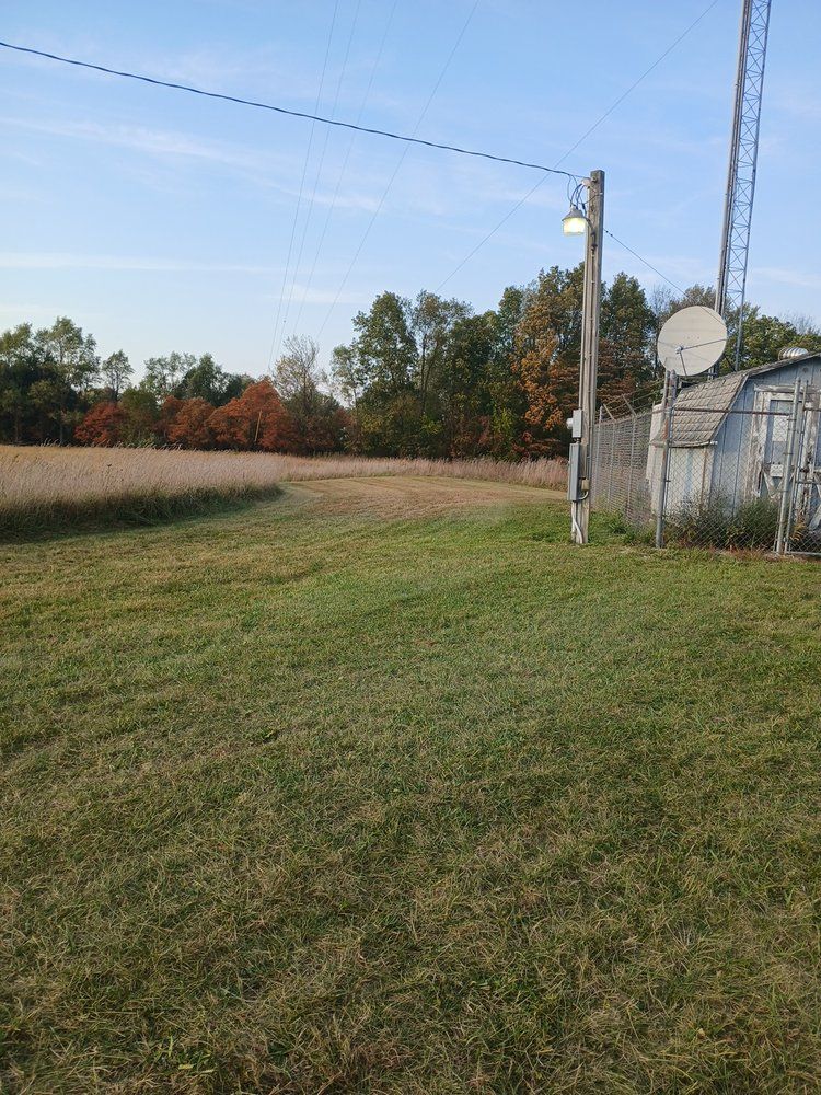 Grassy field with trees and a satellite dish under a blue sky.