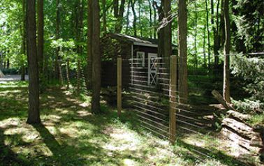 A shed in the middle of a forest with a fence around it.