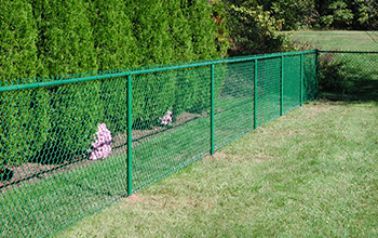 A green chain link fence surrounds a lush green lawn.