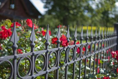 Ornamental Fencing — Iron Fence With Red Flowers in Hillsborough, NJ