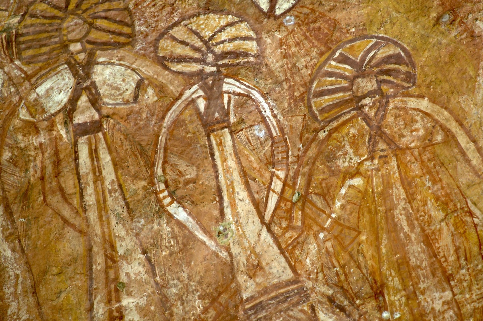 Aboriginal Rock Art  — Driver Guide in Darwin, NT