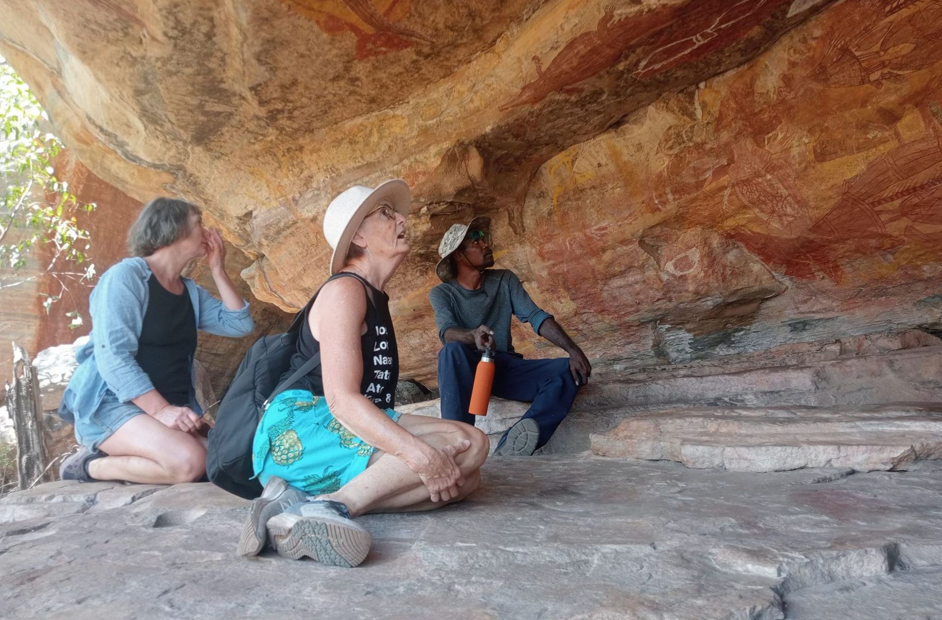 Tour Group Viewing Traditional Cave Paintings — Driver Guide in Darwin, NT