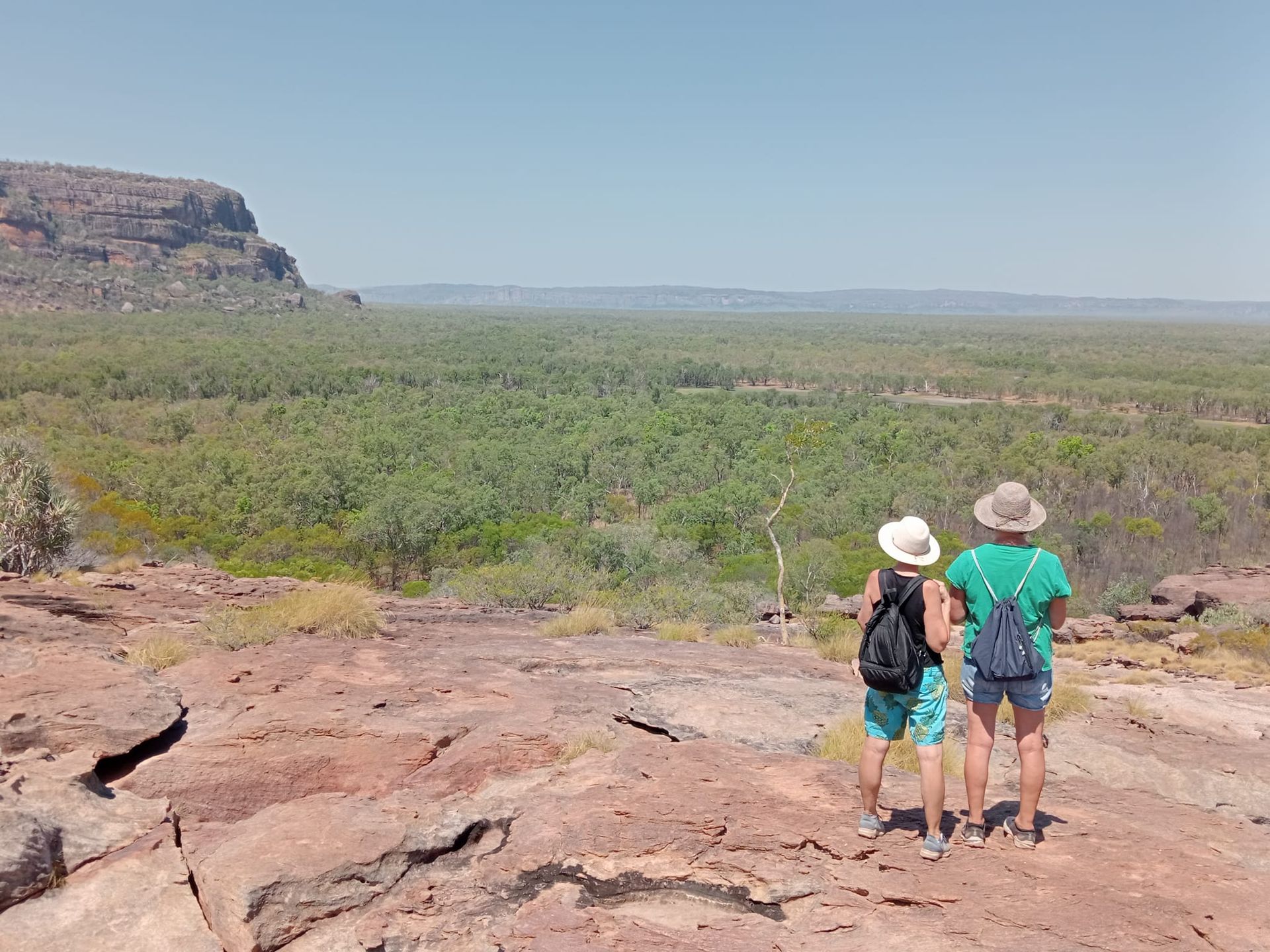 People Are Standing on a Rocky Hill Overlooking Forest  — NT Driver Guide - Escorted Touring & Transfers in Darwin City, NT