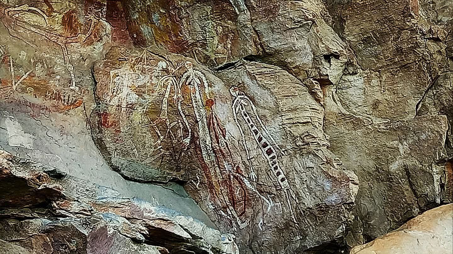 Close-up of rock formation with white mineral deposits and reddish-brown veins — NT Driver Guide - Escorted Tours & Transfers in Darwin City, NT