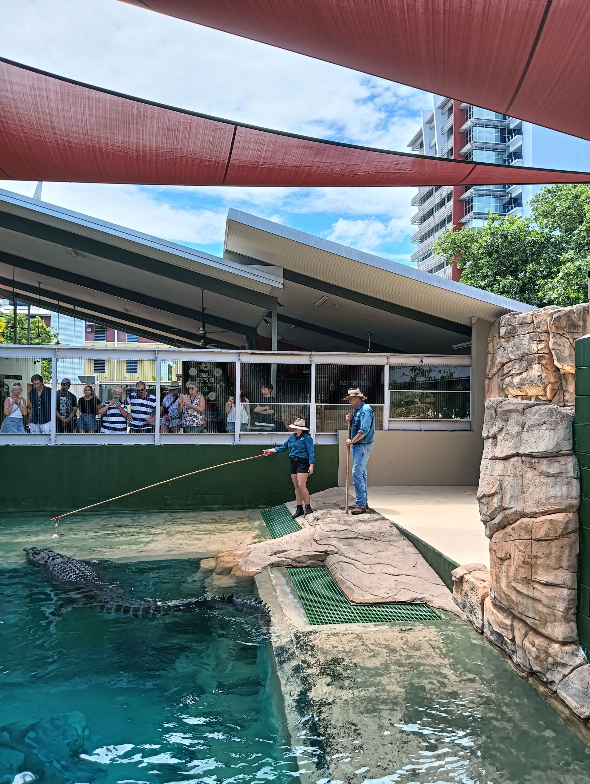 Two people, one pointing with a stick, watch a crocodile in a pool, inside a zoo — NT Driver Guide - Escorted Tours & Transfers in Darwin City, NT