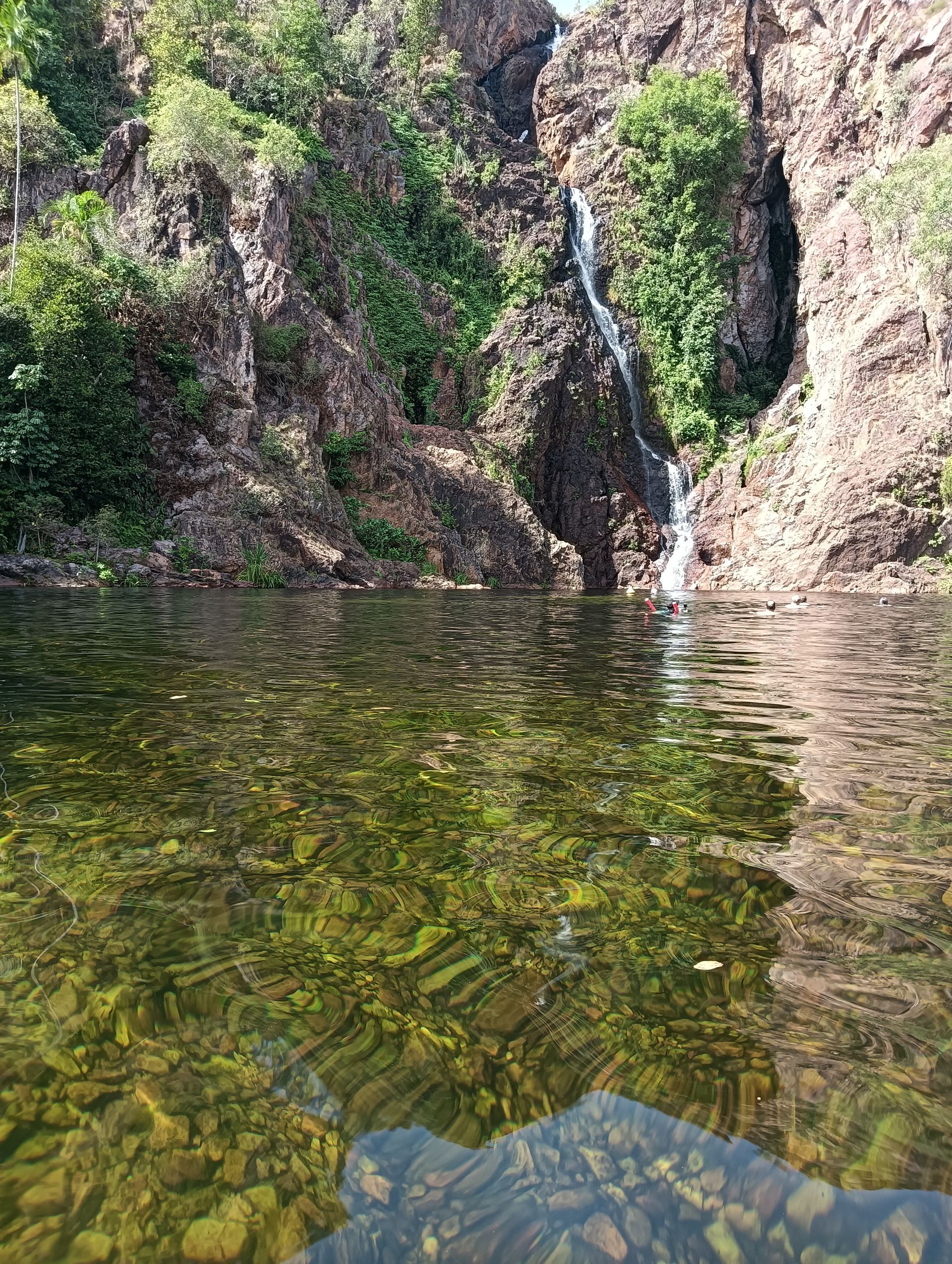 Waterfall cascading into a clear pool with visible rocks, surrounded by rocky cliffs and green foliage  — NT Driver Guide - Escorted Tours & Transfers in Darwin City, NT