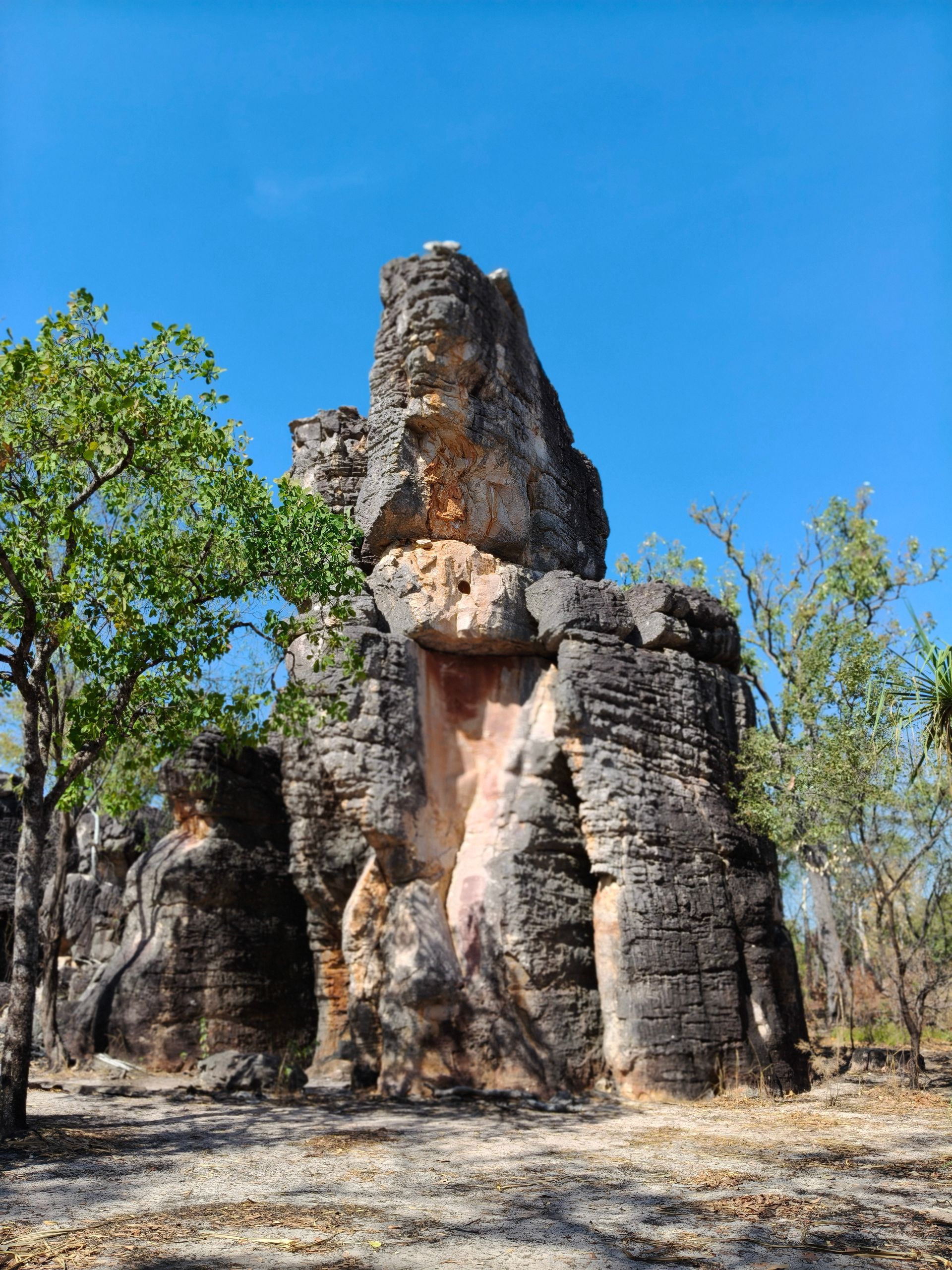 Weathered rock formations against a clear blue sky, with some surrounding trees  — NT Driver Guide - Escorted Tours & Transfers in Darwin City, NT