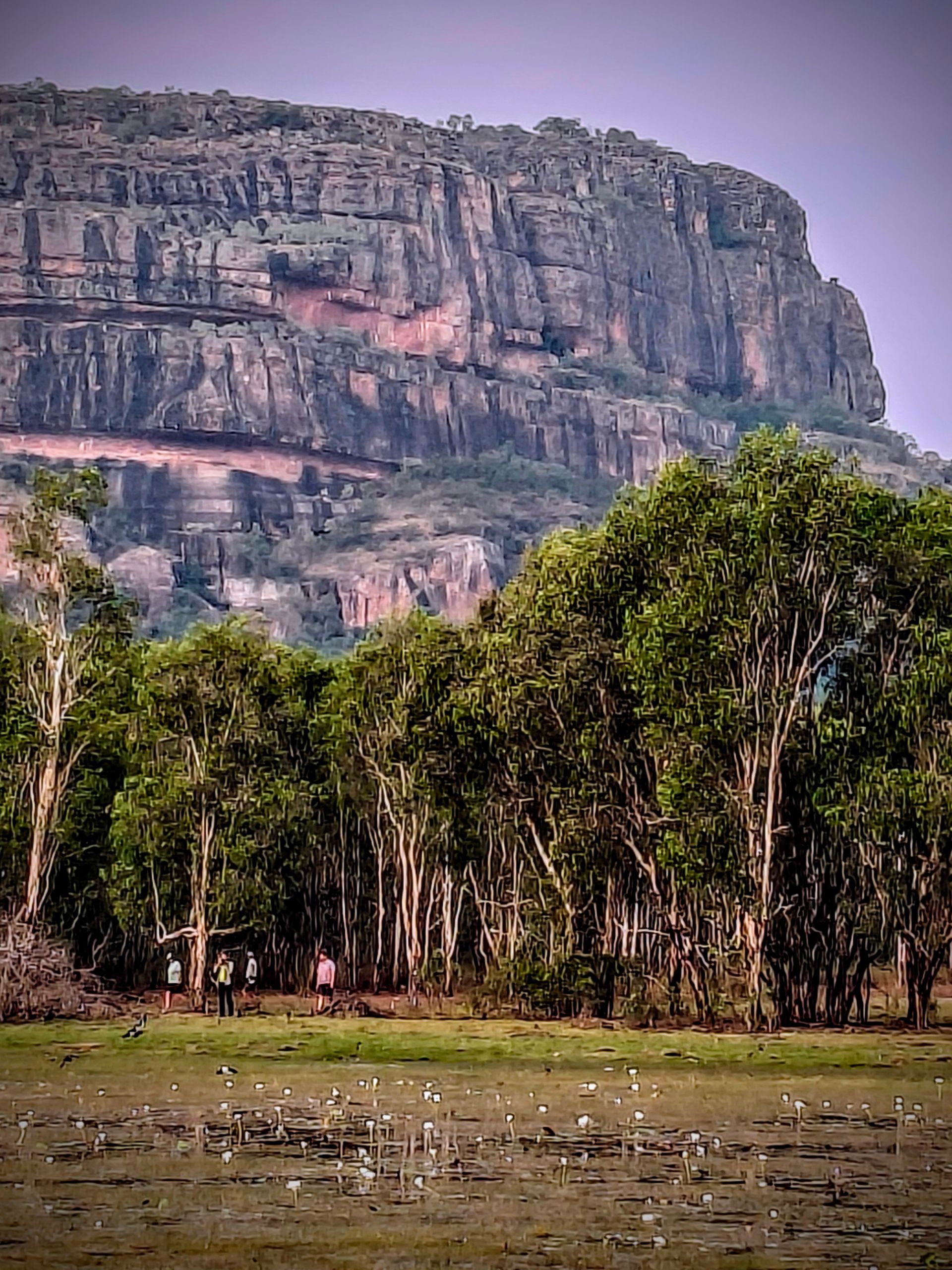 A person walking near a tree line in front of a layered rock mountain — NT Driver Guide - Escorted Tours & Transfers in Darwin City, NT