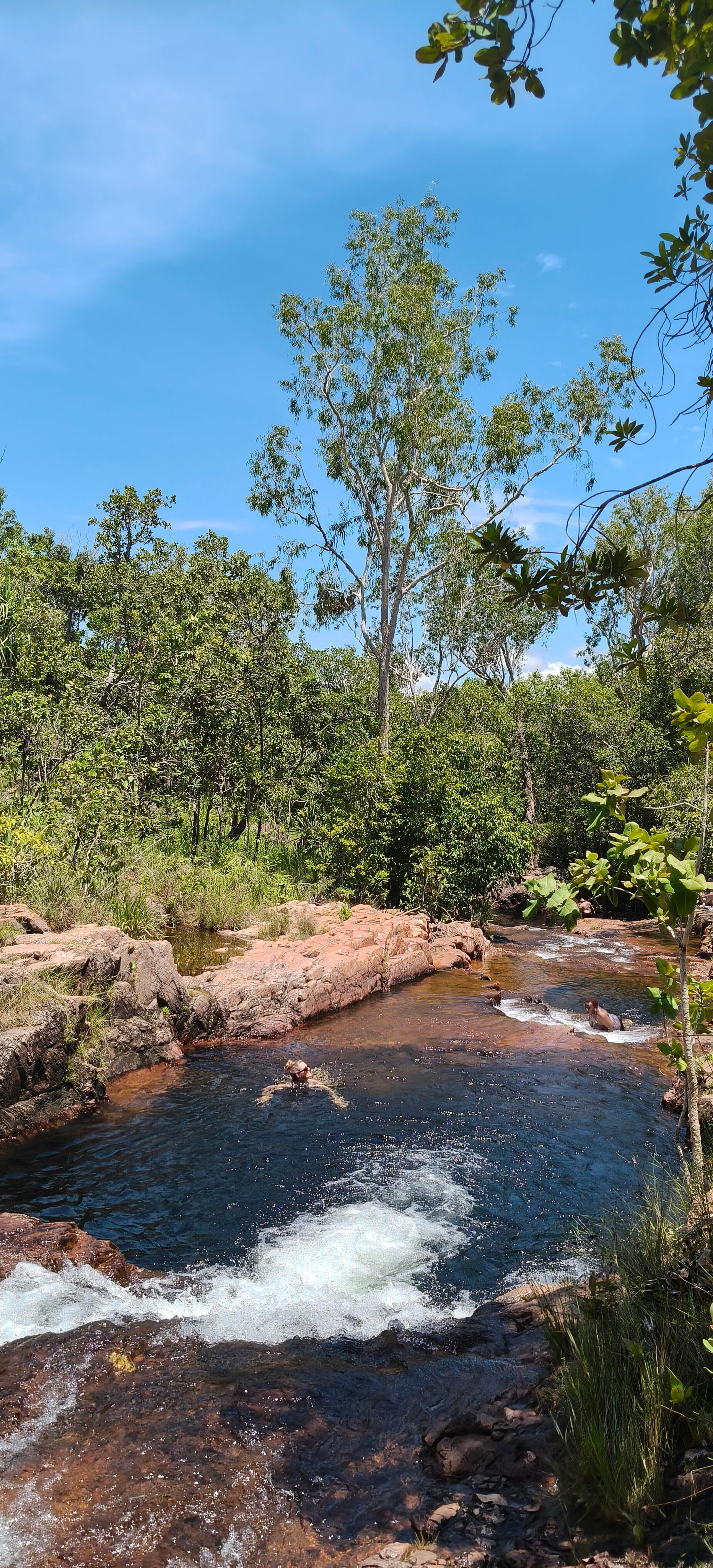 A small waterfall with a bright blue sky and lush green trees  — NT Driver Guide - Escorted Tours & Transfers in Darwin City, NT