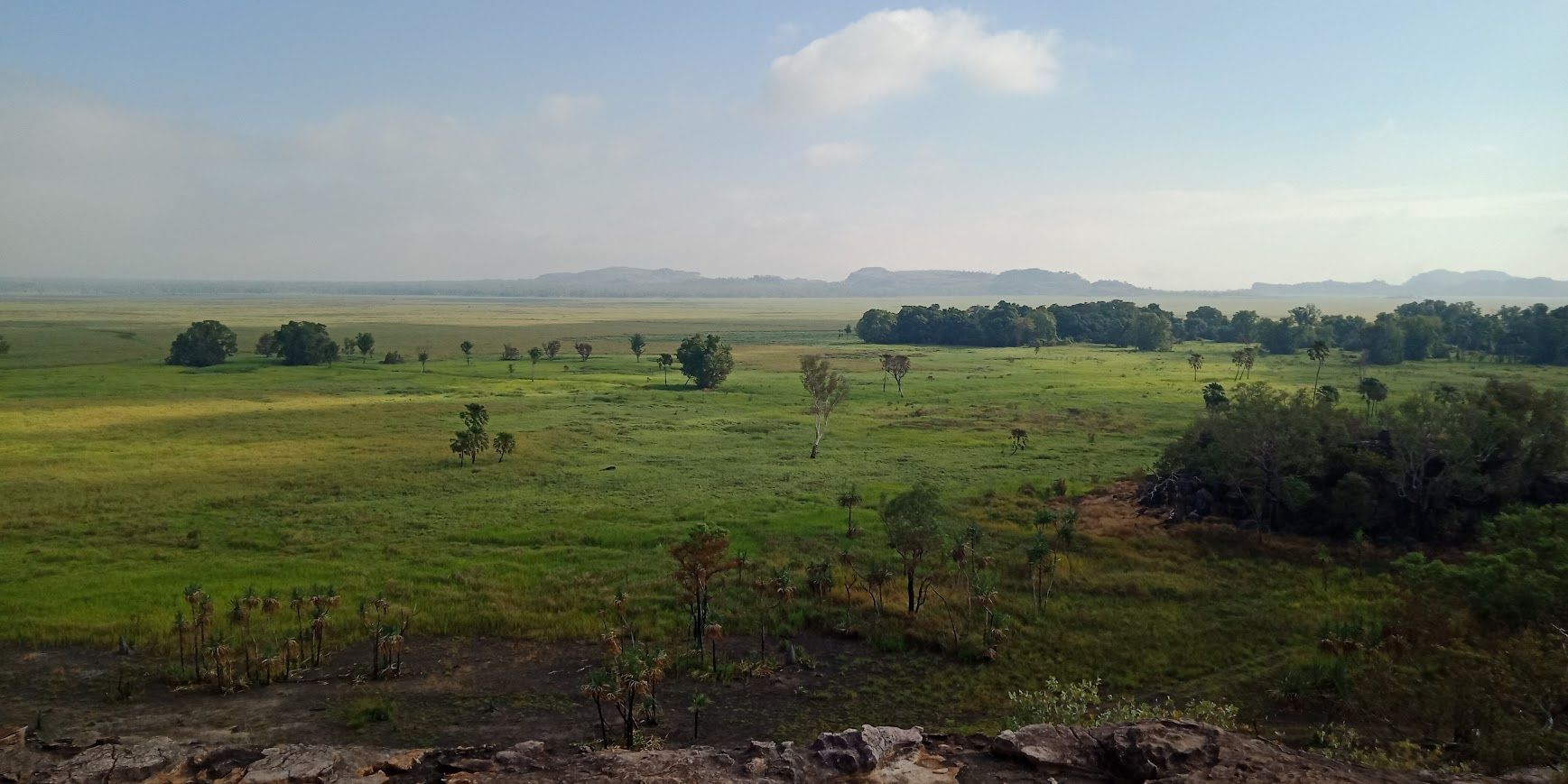 A vast green landscape with scattered trees, under a partly cloudy sky. Mountains are visible in the distance  — NT Driver Guide - Escorted Tours & Transfers in Darwin City, NT