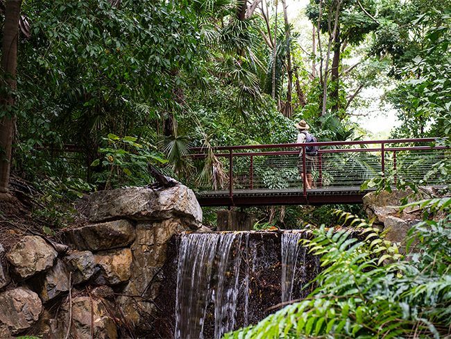 George Brown Botanical Gardens Northern Territory  — NT Driver Guide - Escorted Touring & Transfers in Darwin City, NT