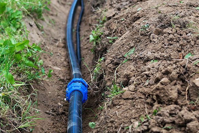 A close up of a hose in the dirt.