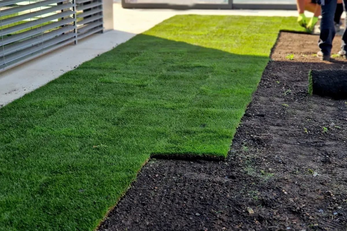 Artificial Turf or Natural Grass? What Long Island Homeowners Should Know