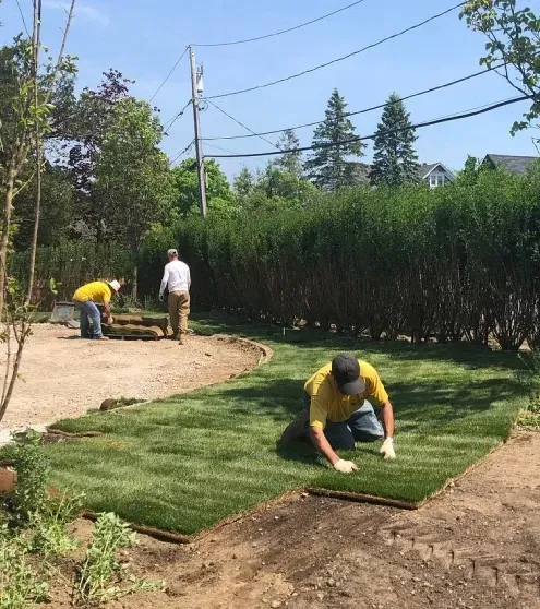 sod installation lawn renovation melville ny