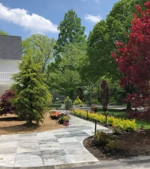 tree installation transplanting services melville ny