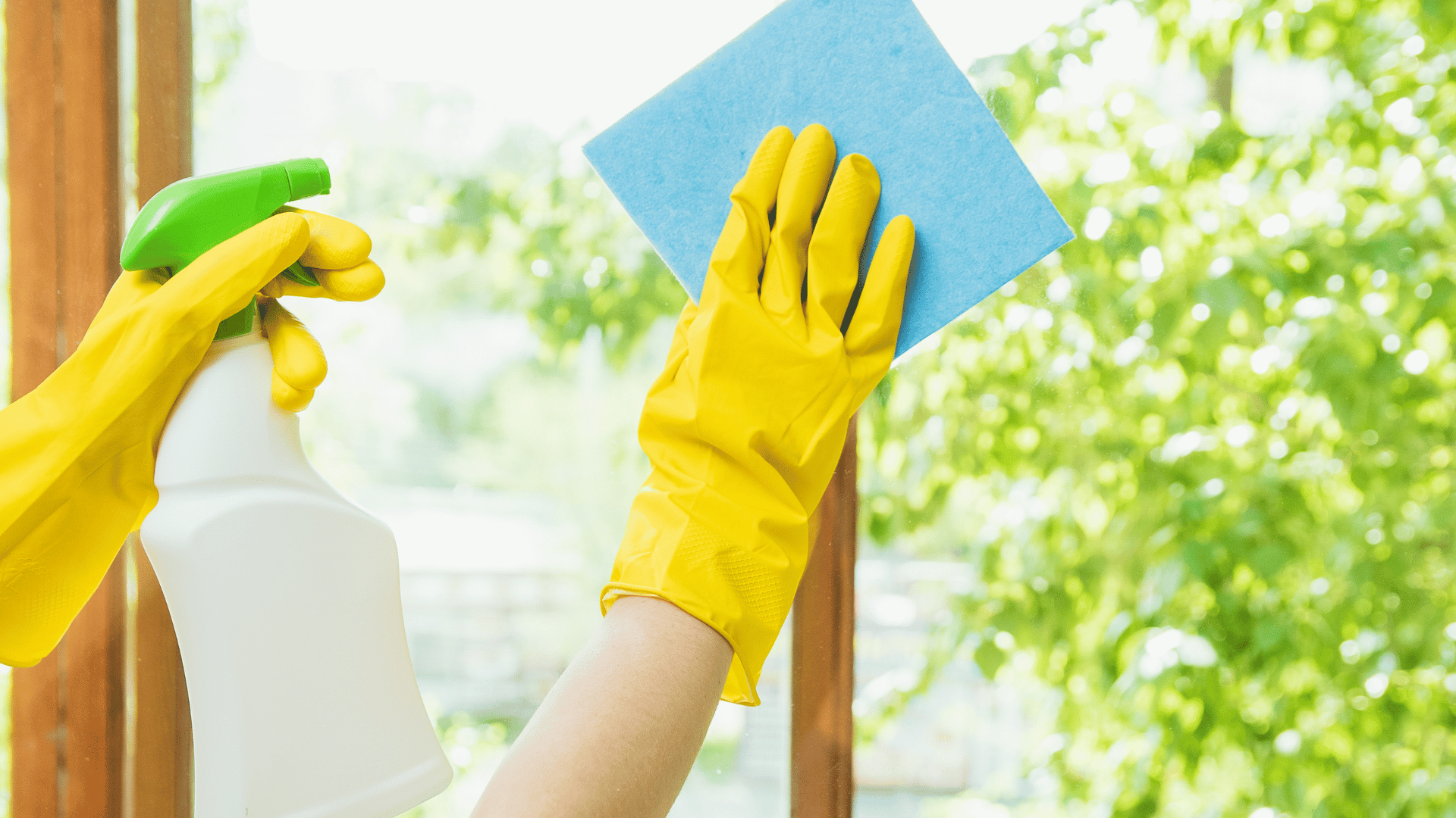 Window Cleaning