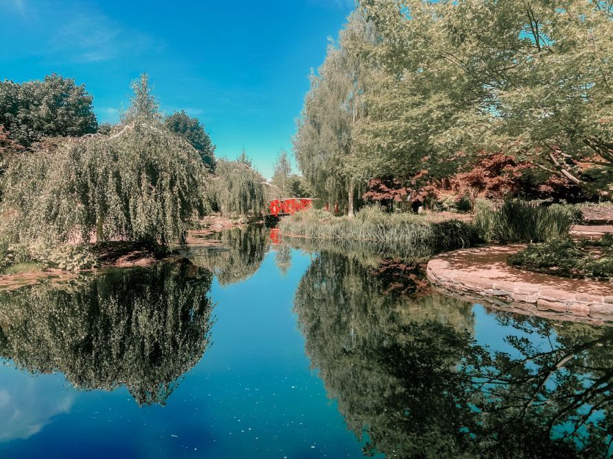 A Bridge Over A Lake Surrounded By Trees On A Sunny Day — Master Glass & Glazing In Mayfield, NSW