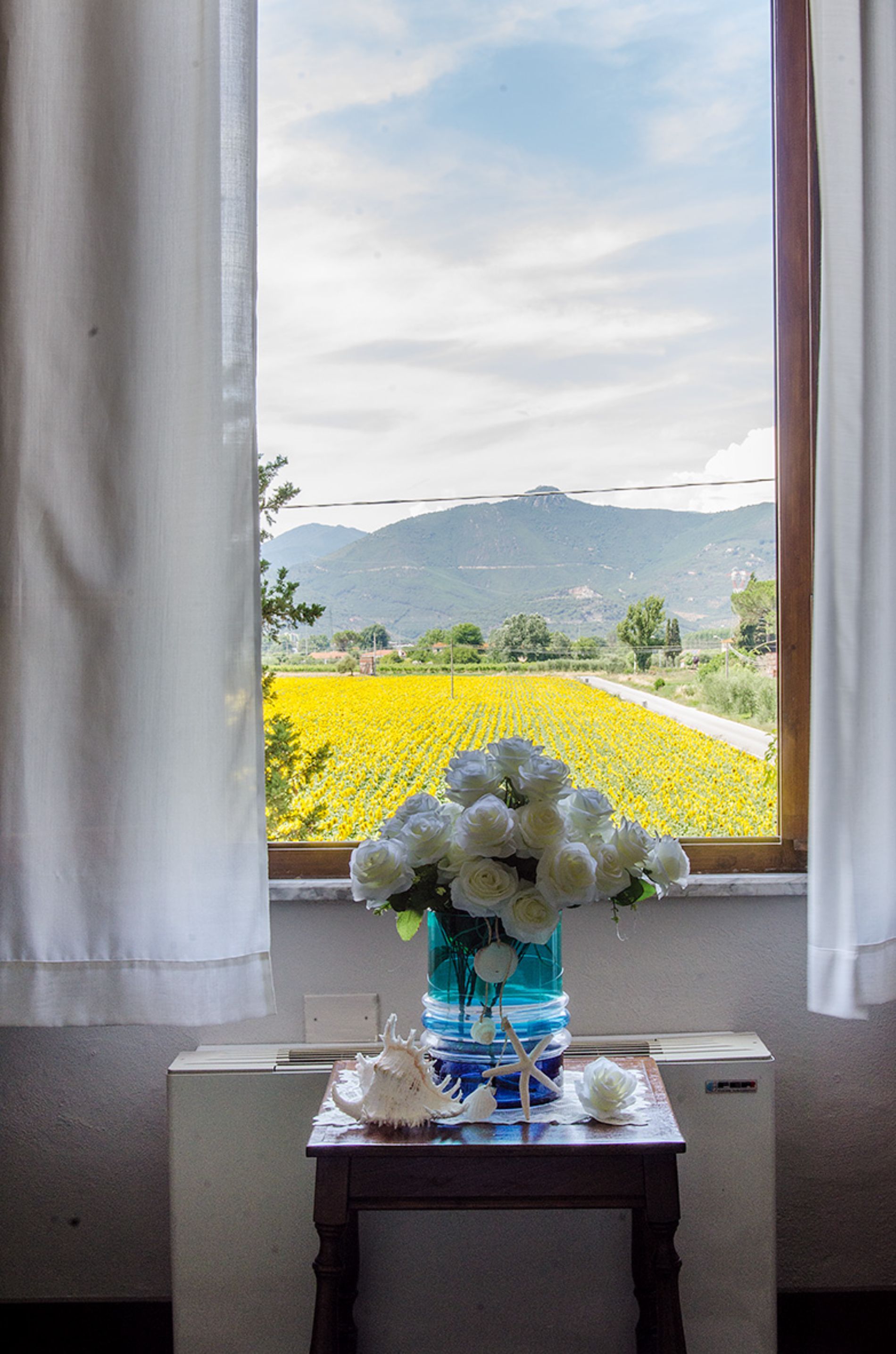 vista dalla stanza dell'hotel