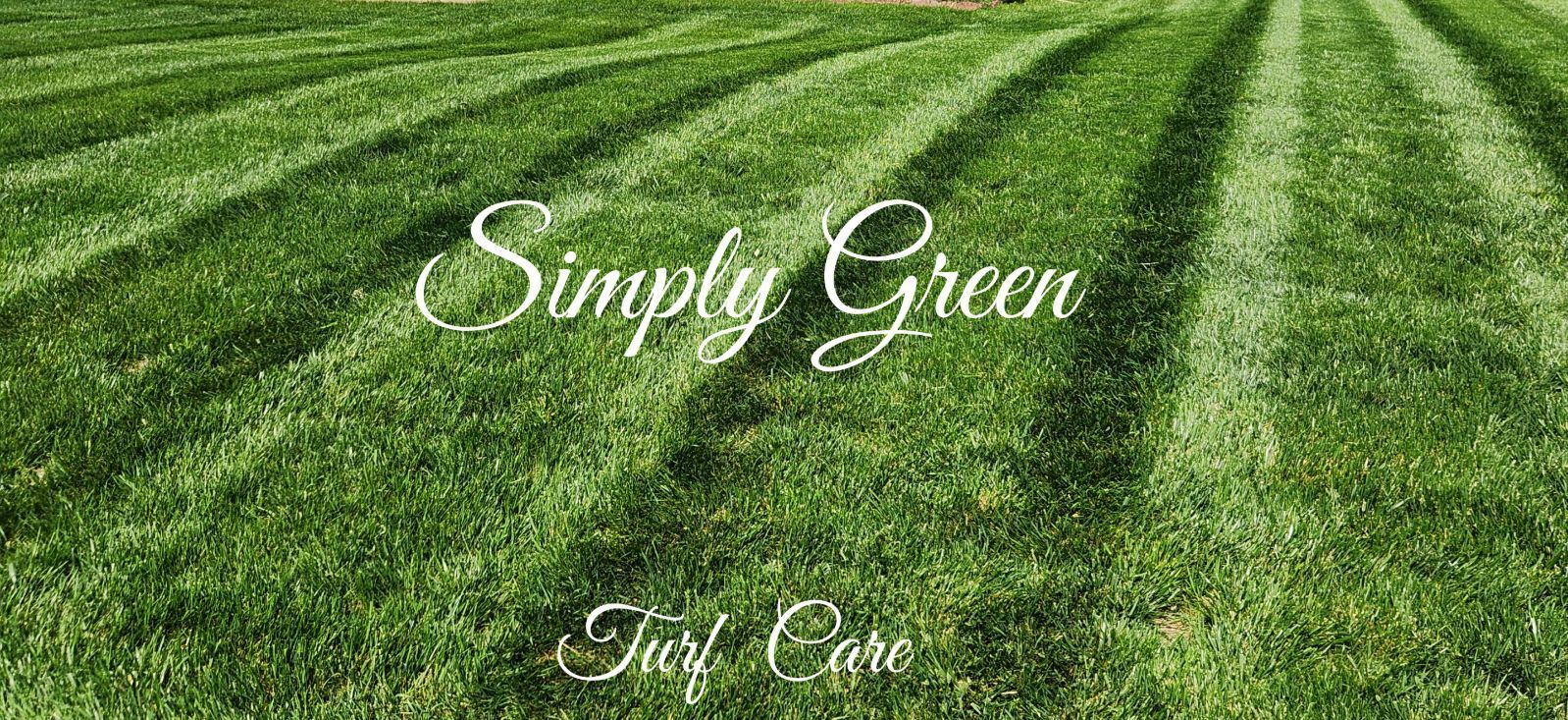 A picture of a lush green lawn with the words `` simply green '' written on it.