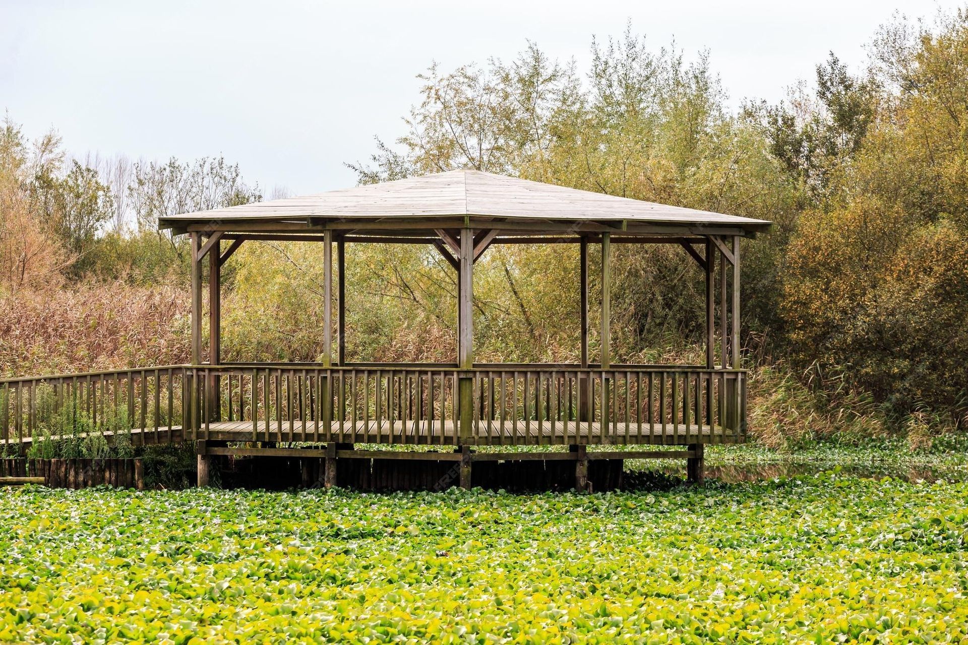 Wooden gazebo in a wetland, surrounded by green plants and trees, under an overcast sky.