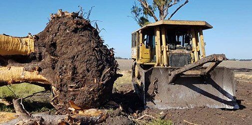 Dozer Next To Tree Truck Transporting — Earthmoving in Toowoomba, QLD