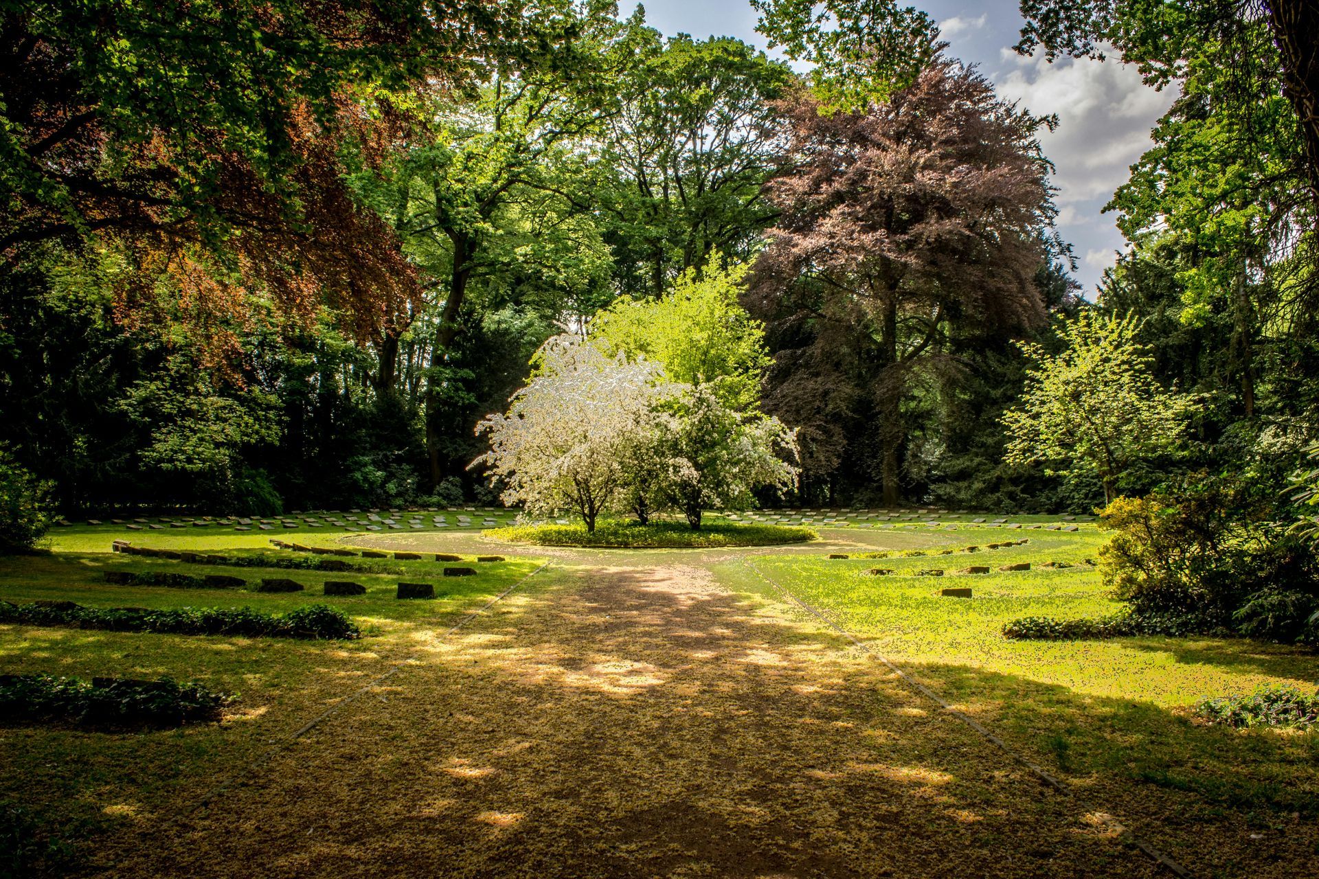 A path in the middle of a park surrounded by trees and grass.