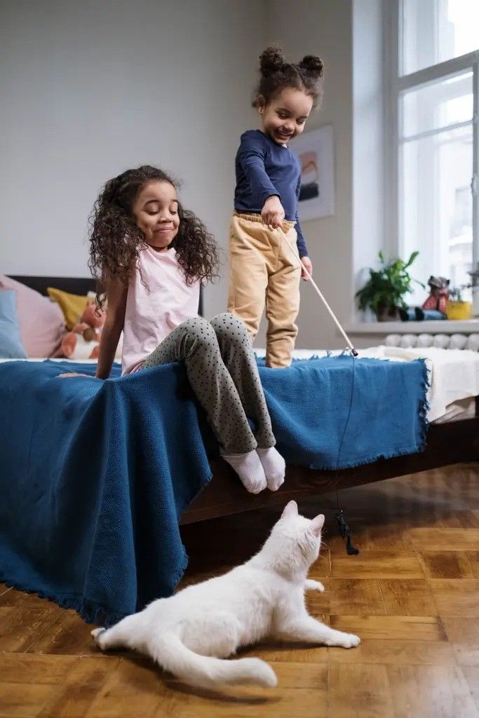 Two Girl Playing on Bed