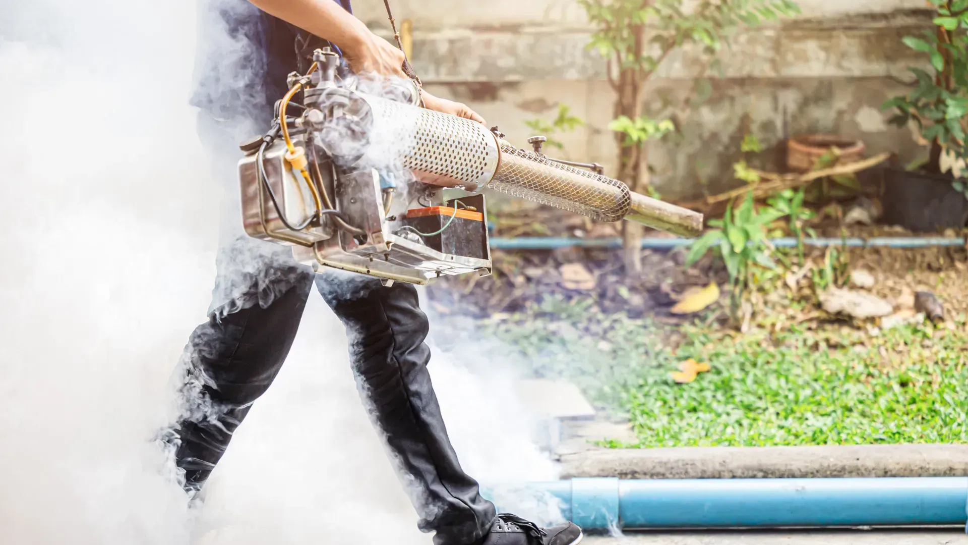 Person spraying insecticide, creating a cloud of smoke, near a building and plants.