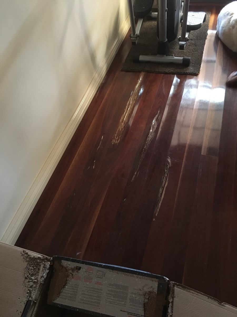 Termite Damage To Hard Wood Floors