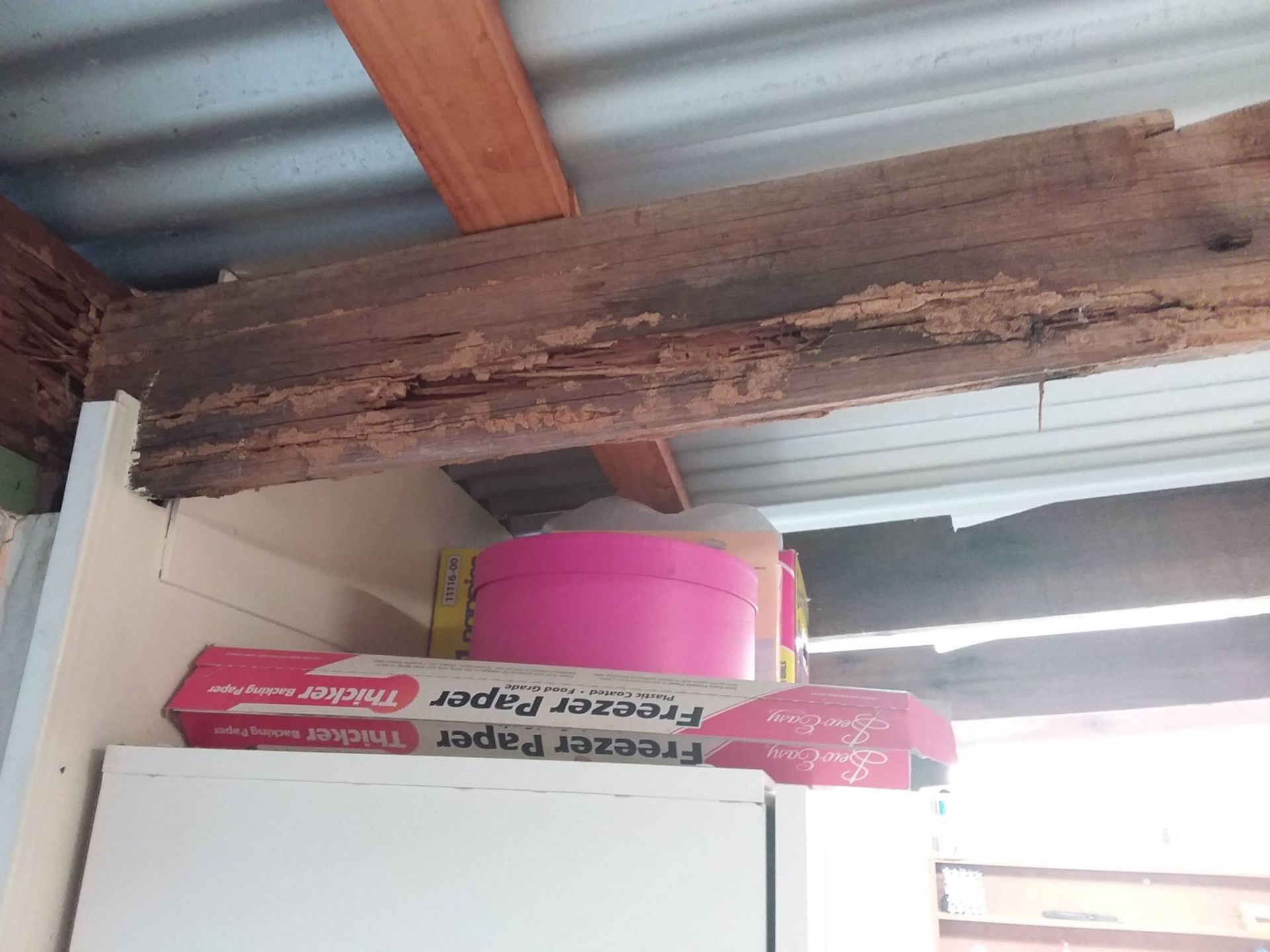 Termite Damage To Wooden Beam