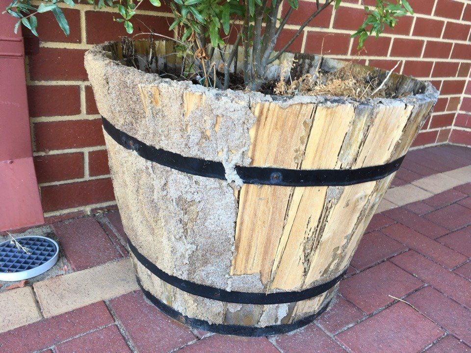 Termite Damage to Wooden Planter Box