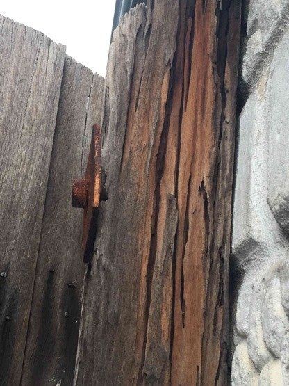 Termite Damage To Wooden Beam