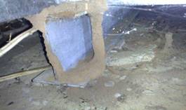termite damage under building