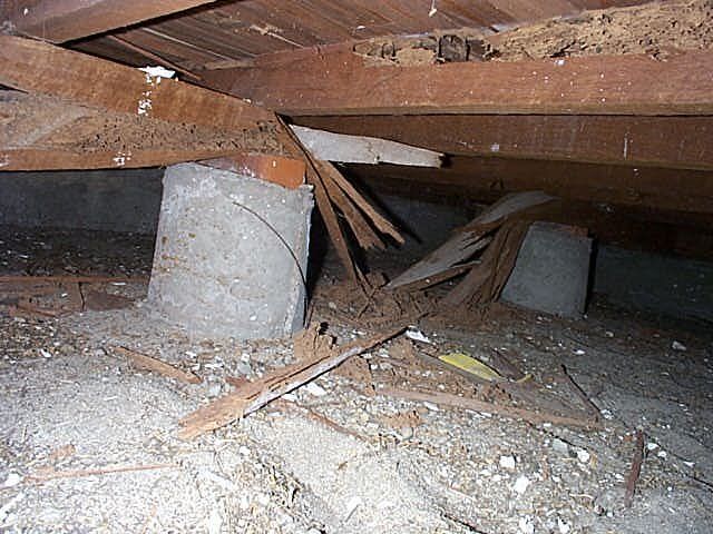 Damage to Under Floor Beams