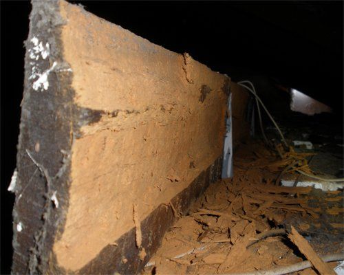 Borer Damage to Roof Beam