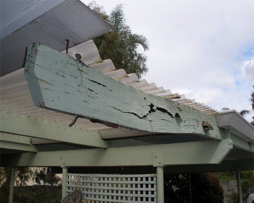 Fungal Wood Decay to Pergola