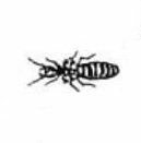 termite king