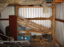termite damage