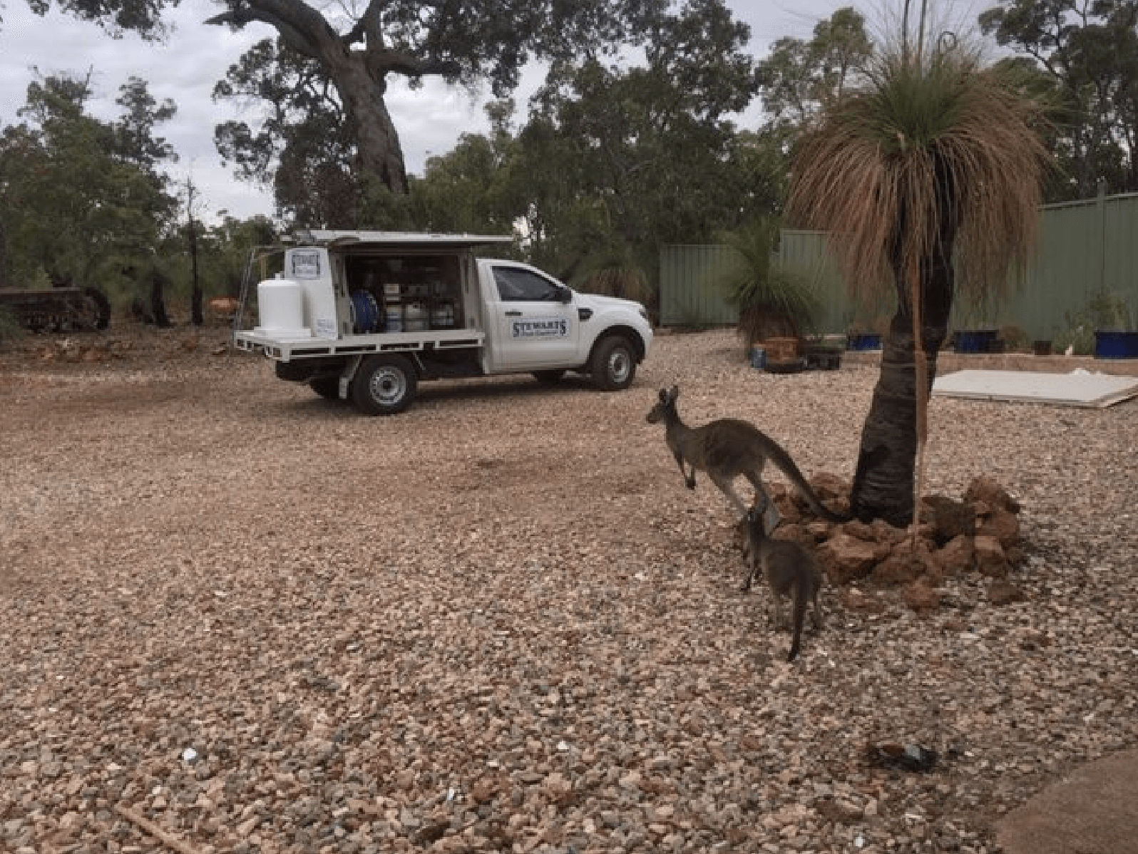 Stewarts Pest Control truck with kangaroo