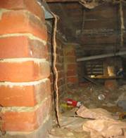 termite damage
