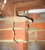 termite damage
