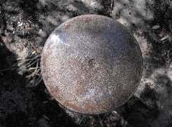 infested termite trap