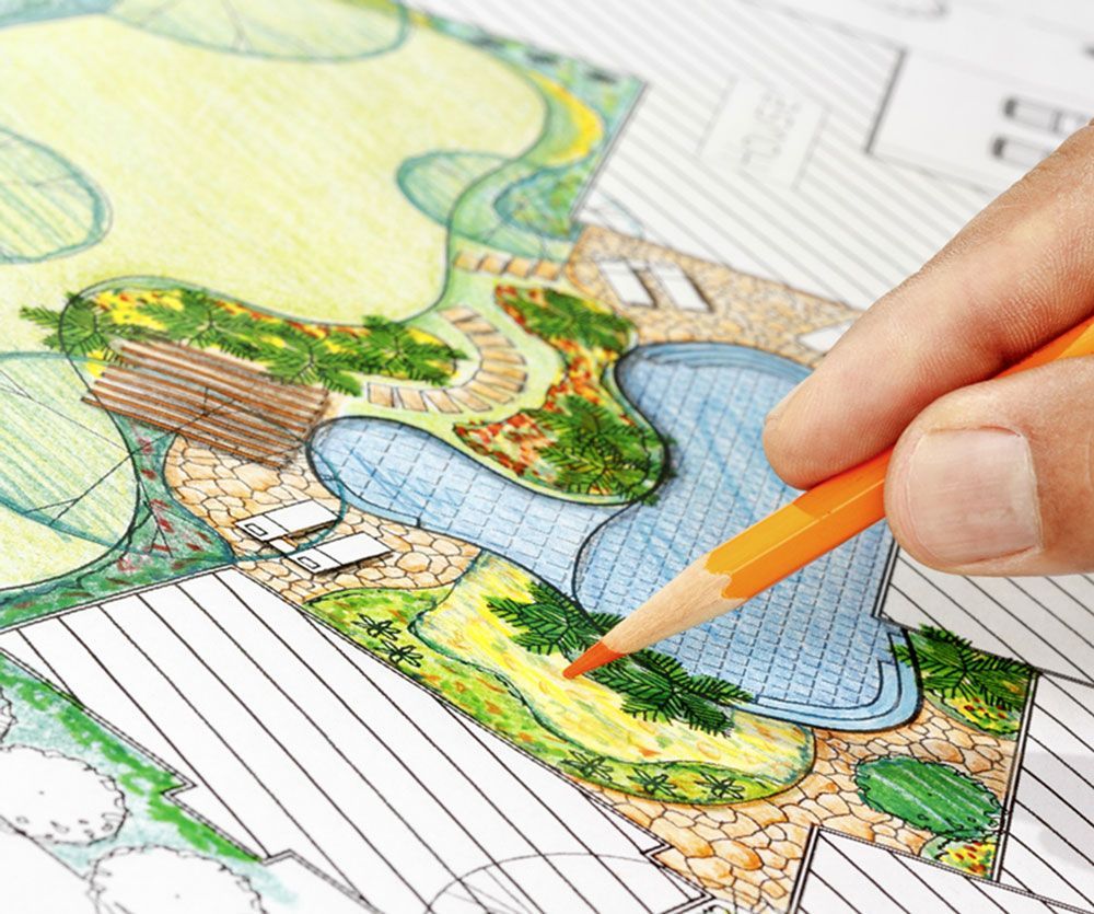 A person is drawing a garden with a pencil
