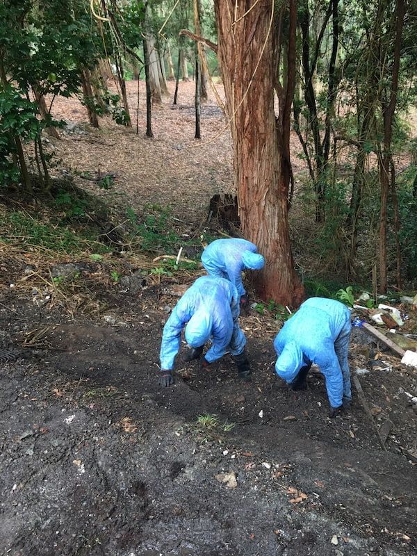 A Group of People in Blue Suits Are Digging in The Dirt in The Woods — Central Coast Complete Demolition & Tree Service in Buff Point, NSW