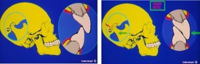 Due disegni di un teschio su sfondo blu