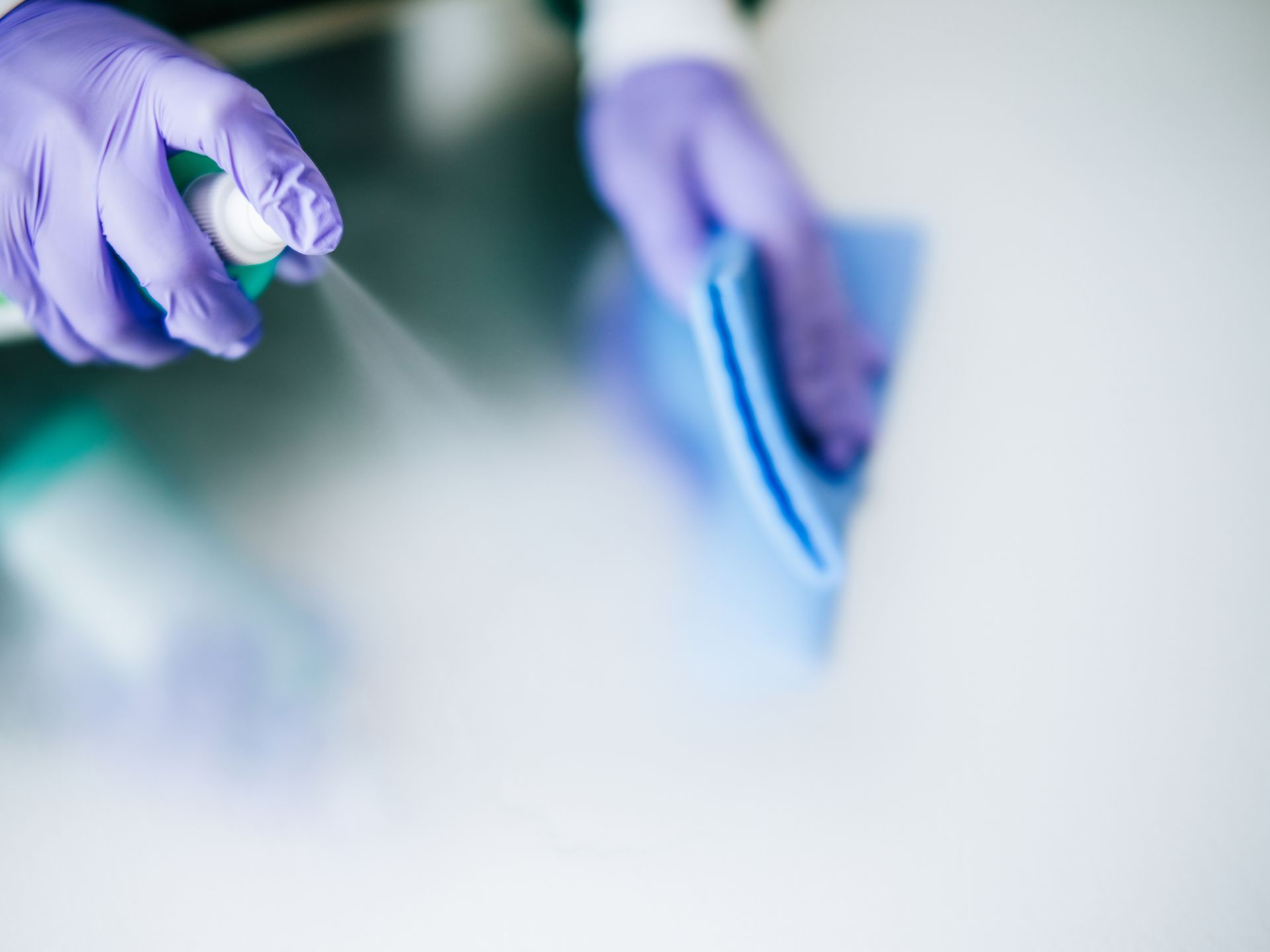 A person wearing purple gloves is spraying a cloth on a table.
