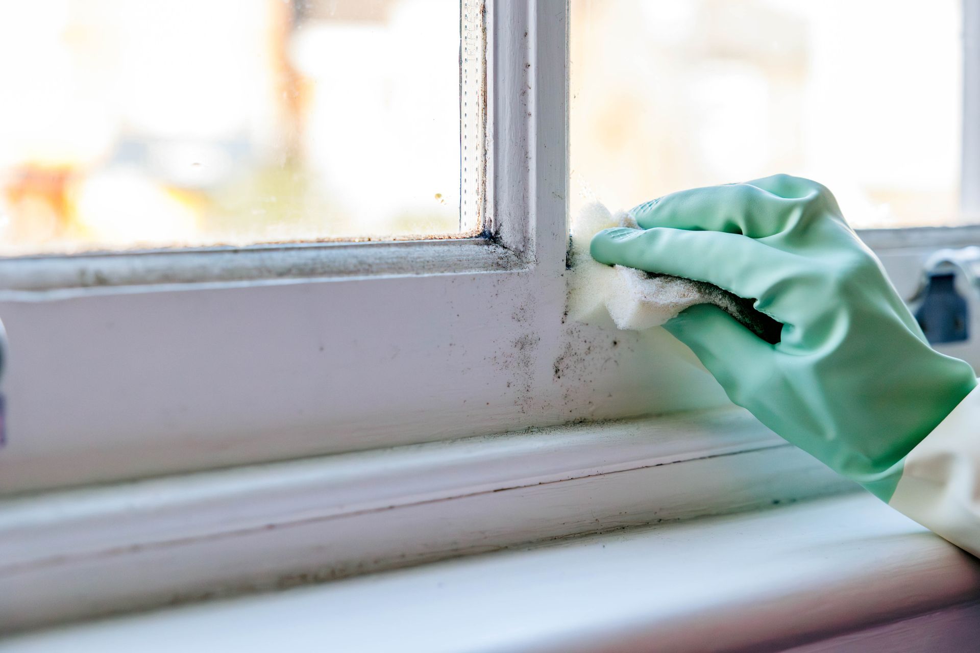 A person wearing green gloves is cleaning a window with a cloth.