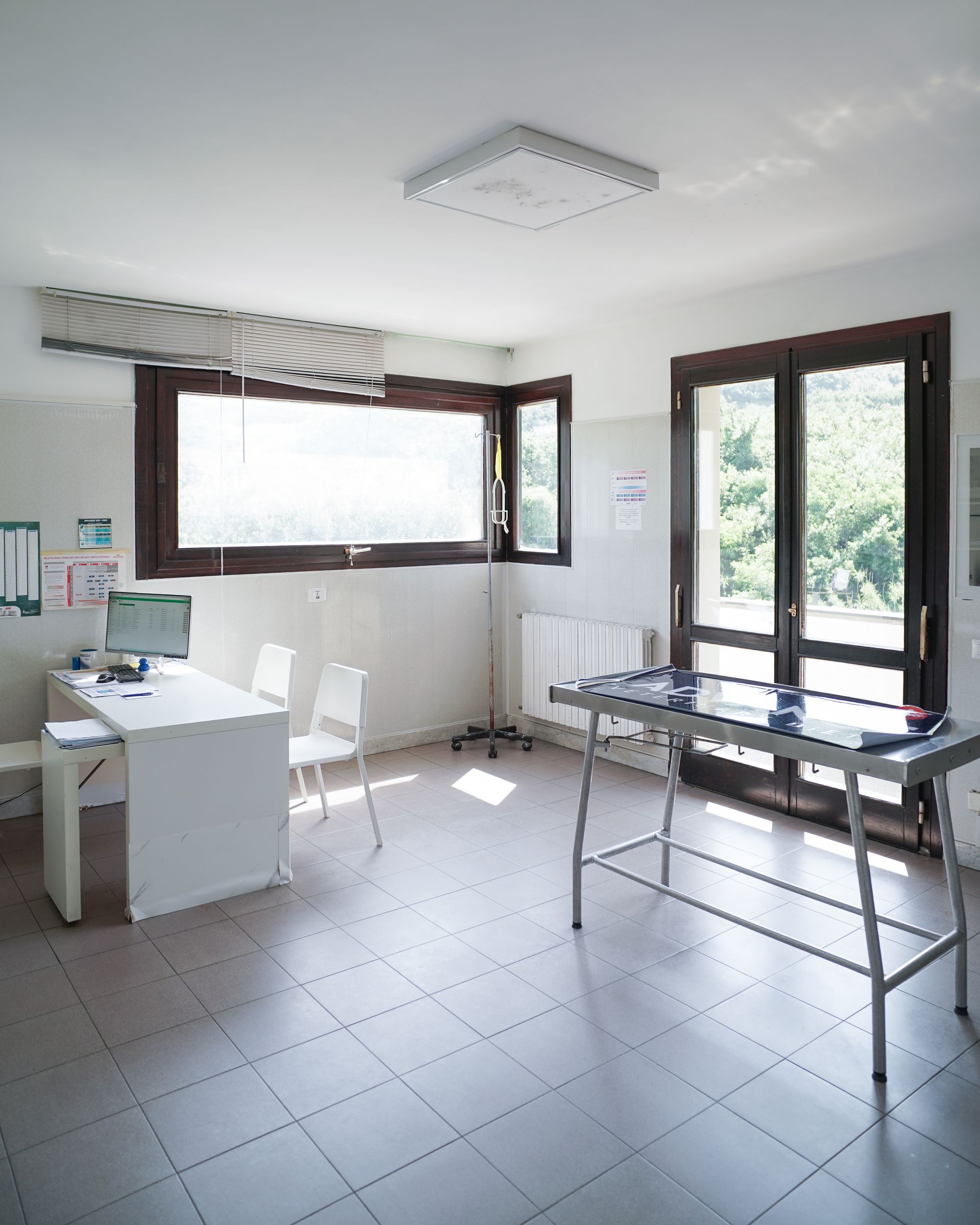 Sala visite veterinarie luminosa e ariosa, con ampie finestre, tavolo per visite e scrivania.